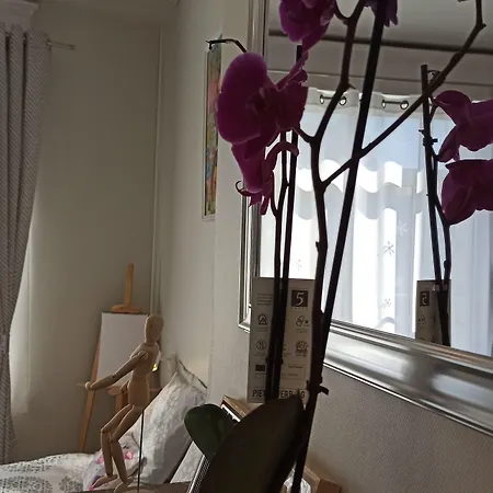 Bed and breakfast My Art House Douai