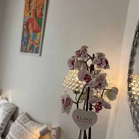 My Art House Douai